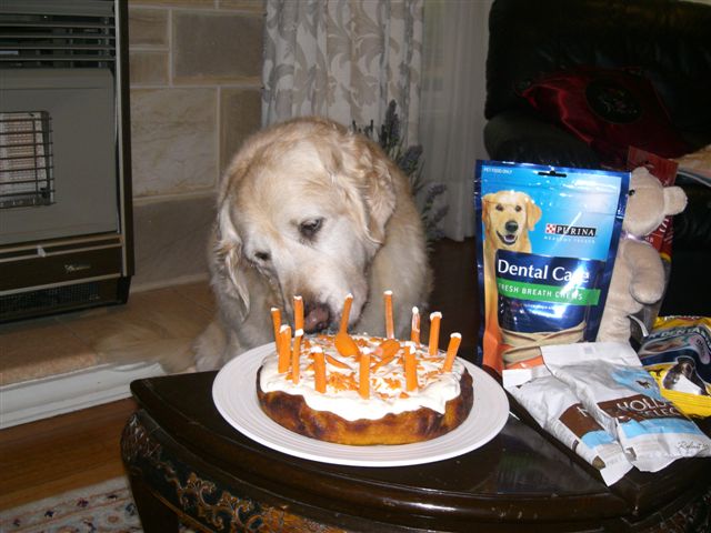 Lucky birthday girl enjoying carrot cake